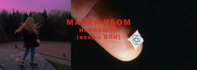 МДПВ Пересвет
