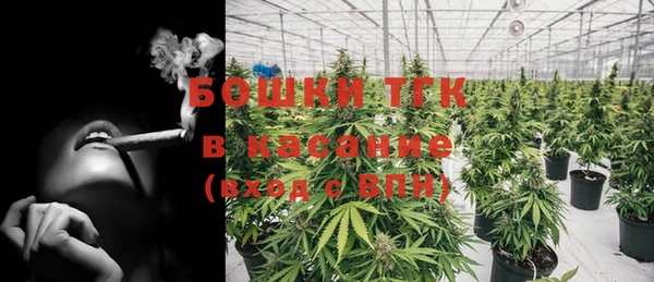 тгк Карпинск